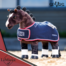 LE MIEUX TOY PONY WINNERS RUG 