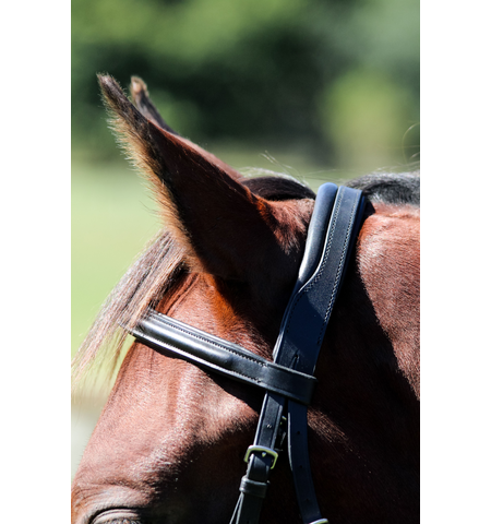 EVENTOR DRESSAGE CROWN CRANK BRIDLE