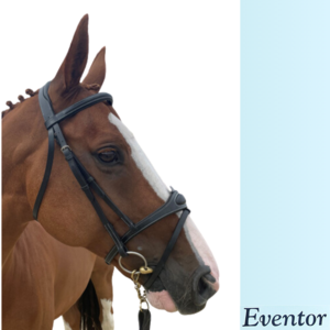 EVENTOR SNAFFLE CROWN BRIDLE