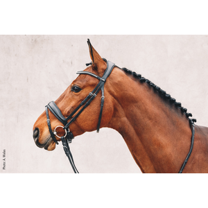 SCHOCKEMOHLE STANFORD SNAFFLE BRIDLE 