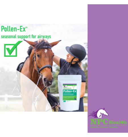 Pollenex NPC POLLENEX - Feed & Supplements-Supplements : Champion Equestrian ...