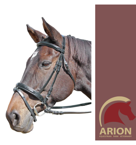 CAVALLINO RAISED PADDED BRIDLE 